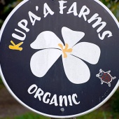 Hawaii Best Organic Kupa’a Farms