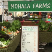 Hawaii Top Organic Mohala Farms