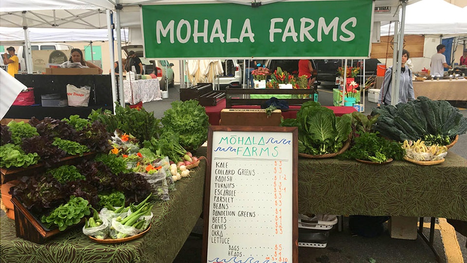 Hawaii Top Organic Mohala Farms