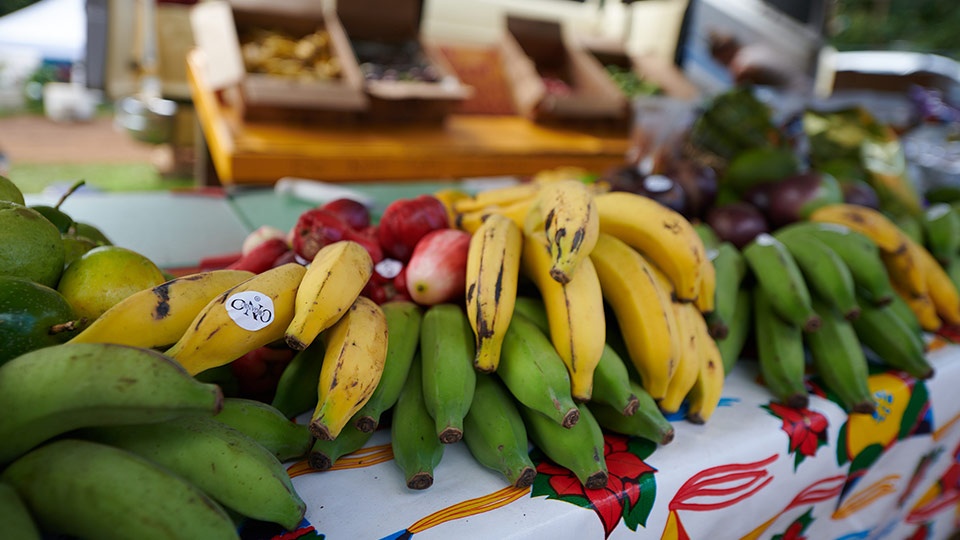 Hawaii Top Organic Ono Farms