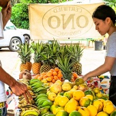 Hawaii Best Organic Ono Farms