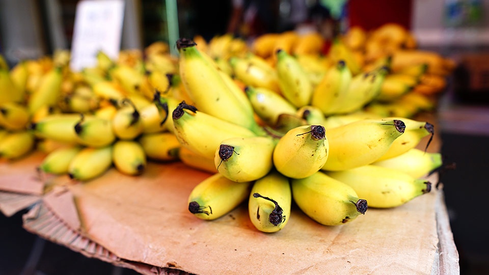 Hawaii Best Organic Princeville Botanical Gardens Bananas