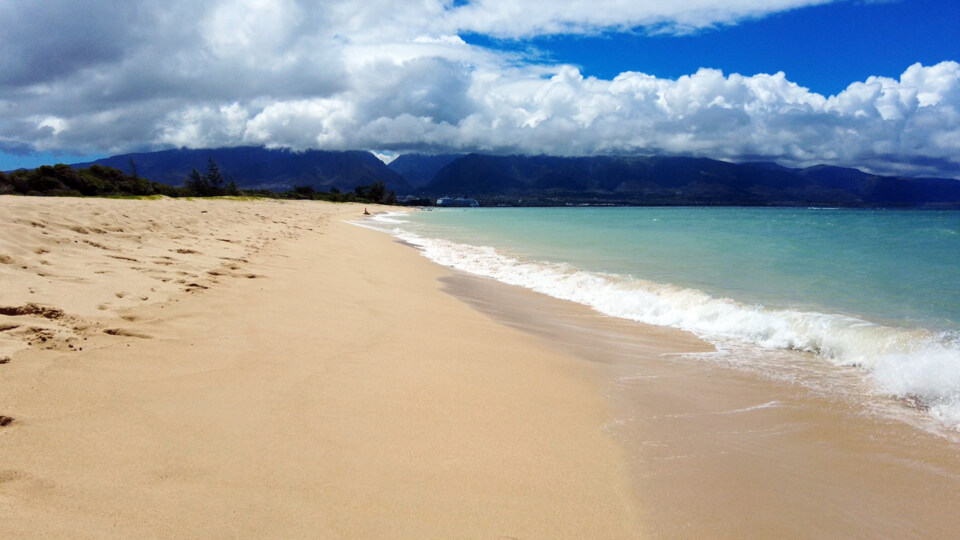 Best Maui Beach Kanaha Beach Park