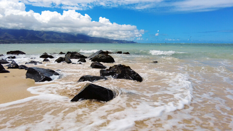 Best Maui Beach Kanaha Beach Park