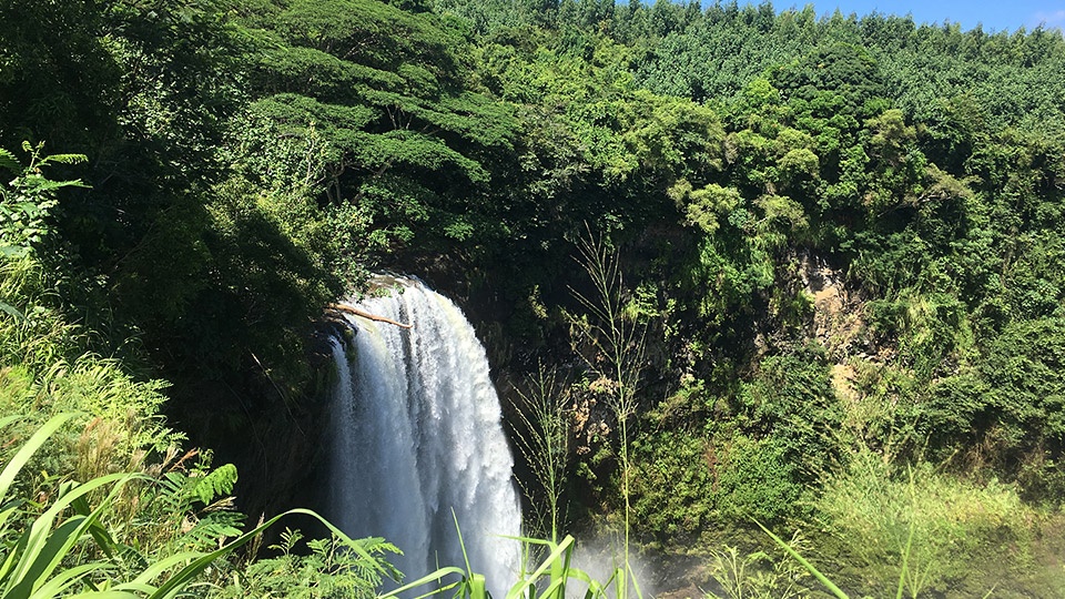 Best Hawaiian Island Kauai