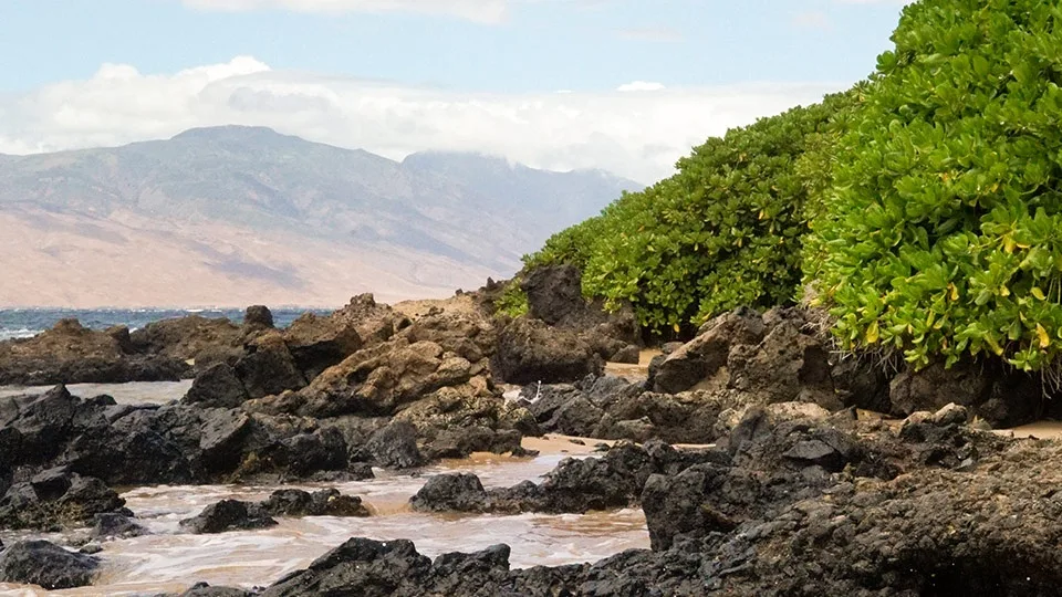 Best Little Hawaii Beach Town Kihei