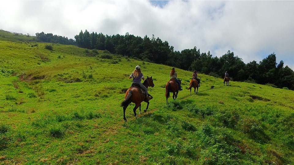 Best Hawaii Activities Horseback Riding