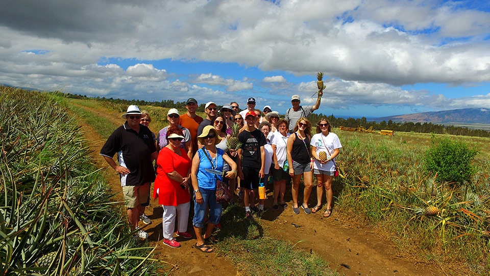 Best Plantation Farm Maui Pineapple Tours