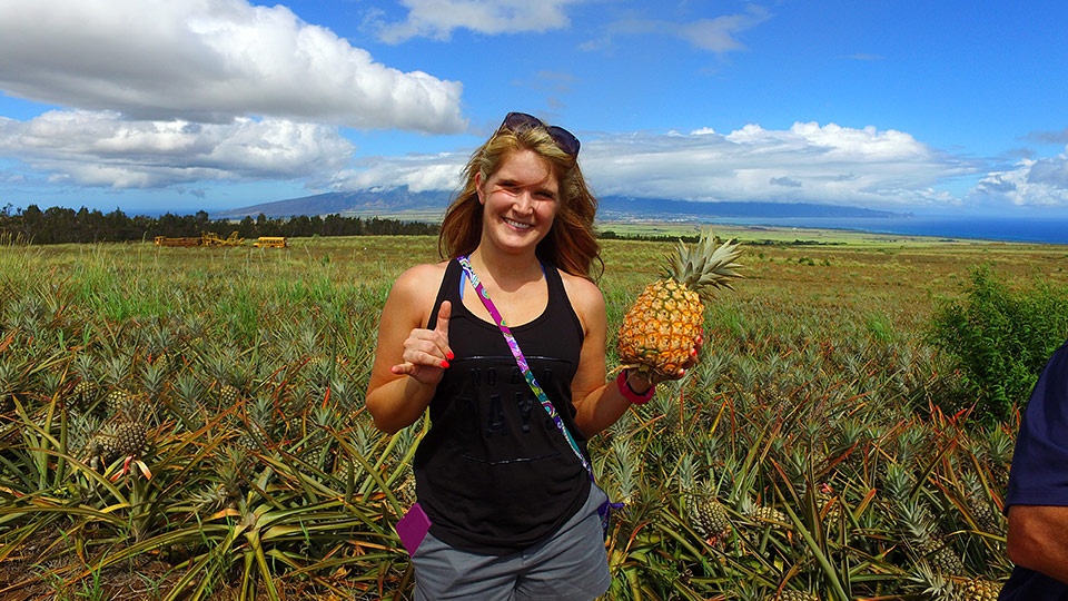 Best Plantation Farm Maui Pineapple Tours