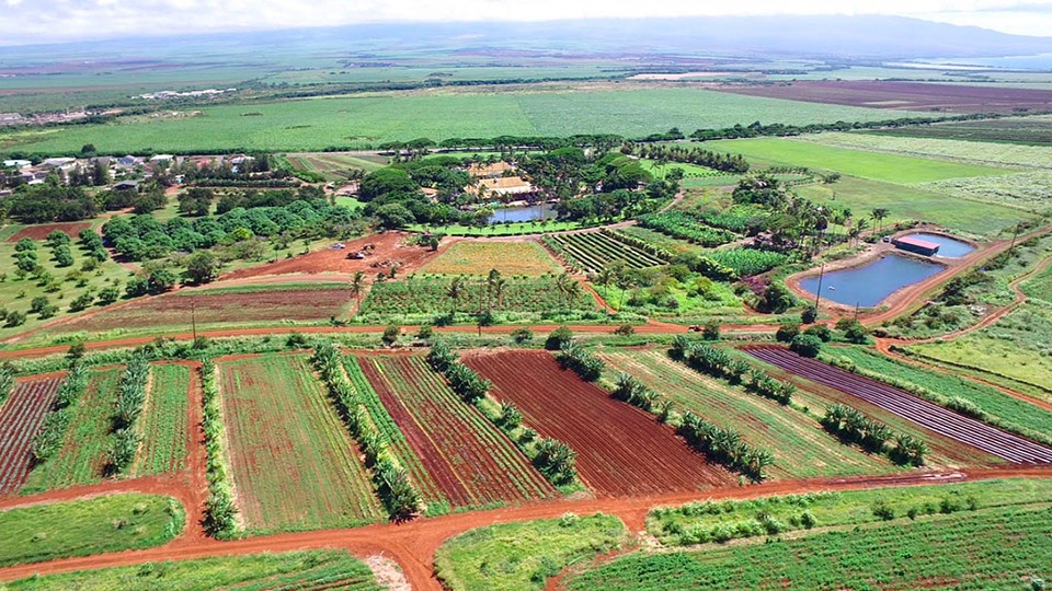 Best Kahului Wailuku Maui Tropical Plantation