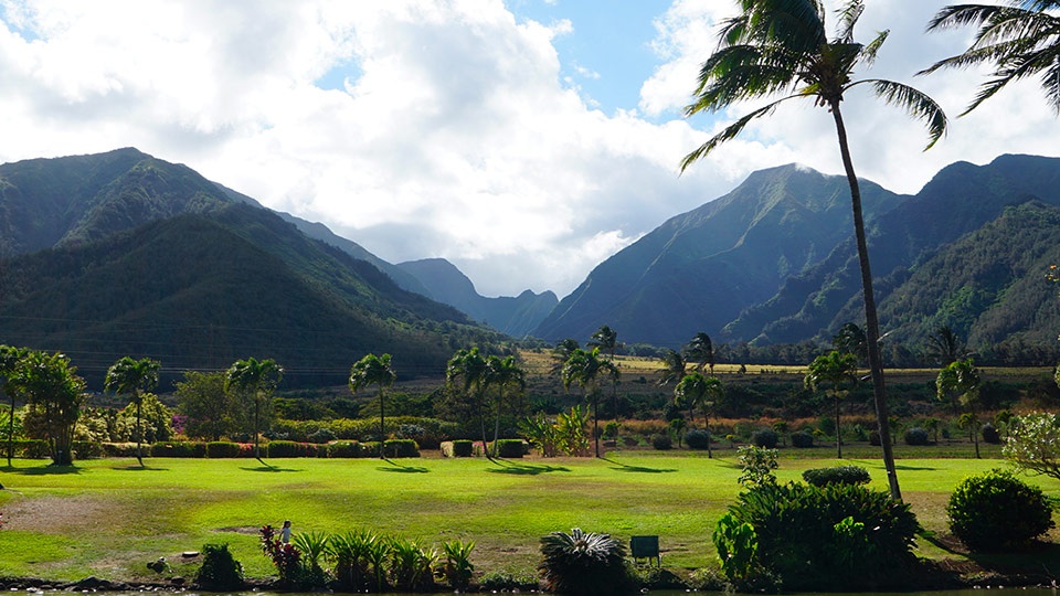 Best Kahului Wailuku Maui Tropical Plantation