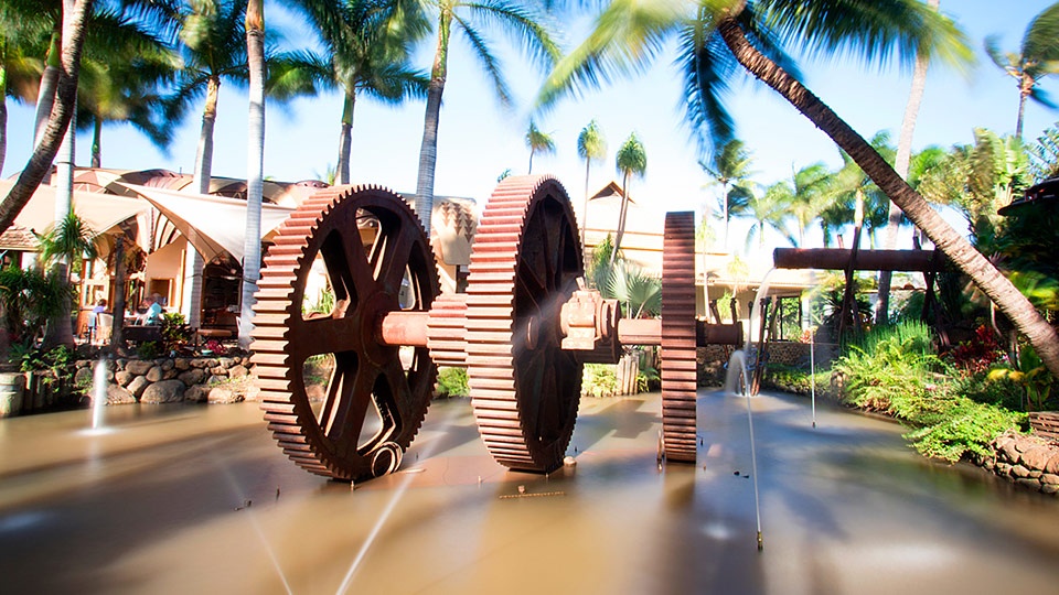 Top Kahului Wailuku Maui Tropical Plantation