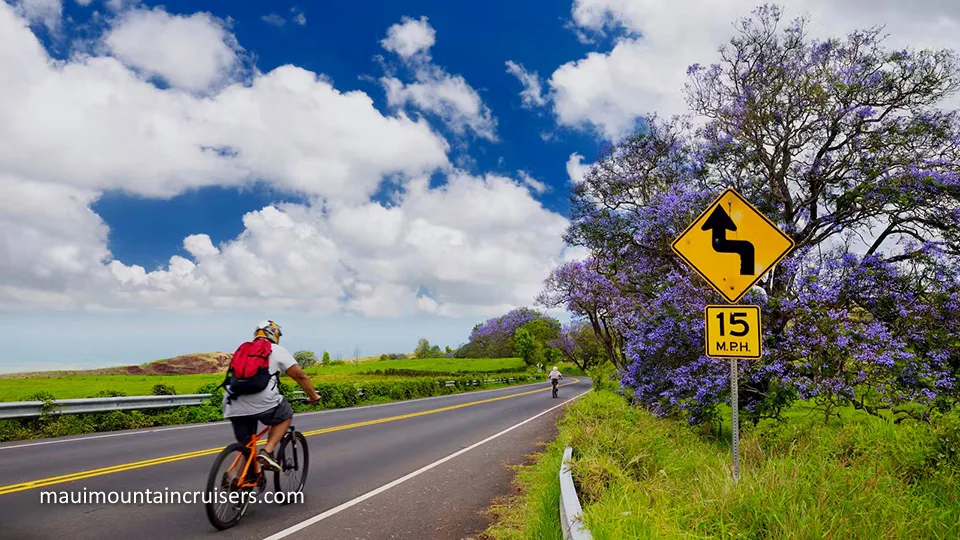 Best Maui Land Activities Bike Haleakala Maui Mountain Cruisers