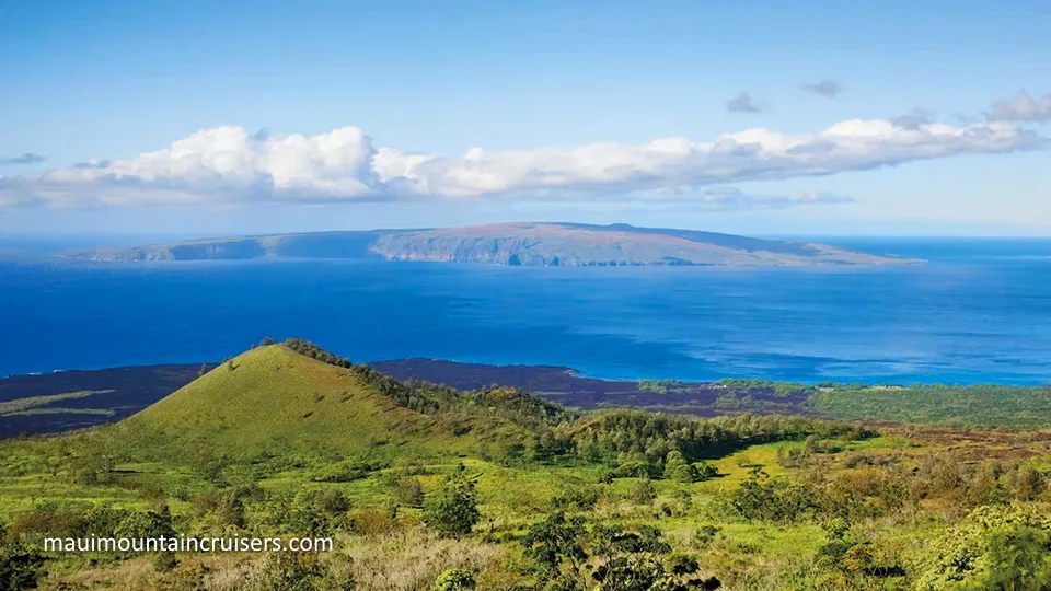 Best Maui Land Activities Bike Haleakala Maui Mountain Cruisers