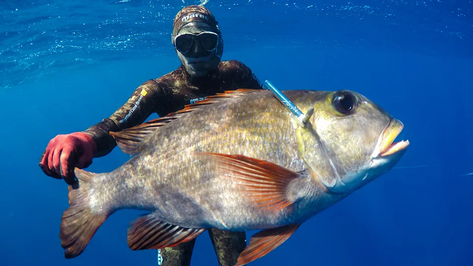 Best Things to Do in West Maui Spearfishing