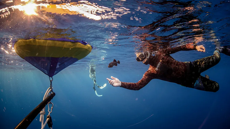 Best Things to Do in West Maui Spearfishing