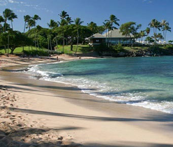 Best Maui Activities West Side Napili Kapalua Beaches