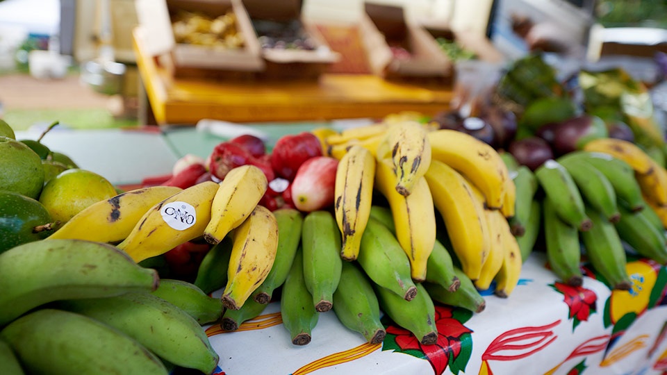 Best Plantation Maui Organic Farms