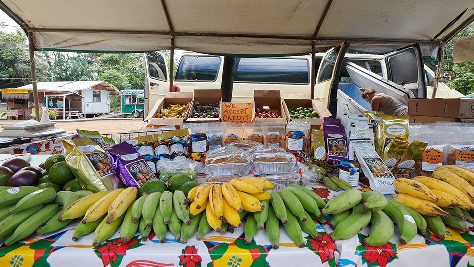 Best Plantation Maui Organic Farms