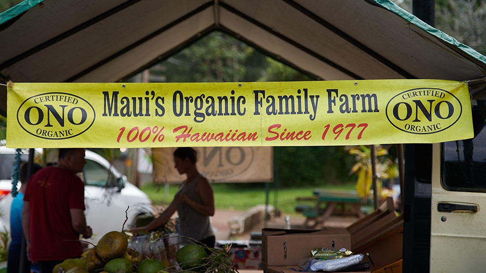 Best Plantation Maui Organic Farms