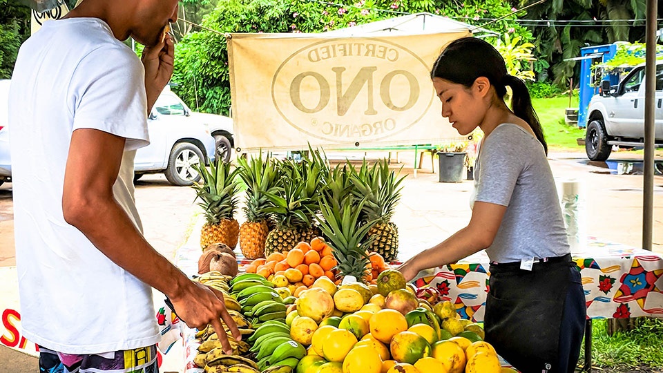 Best Plantation Maui Organic Farms