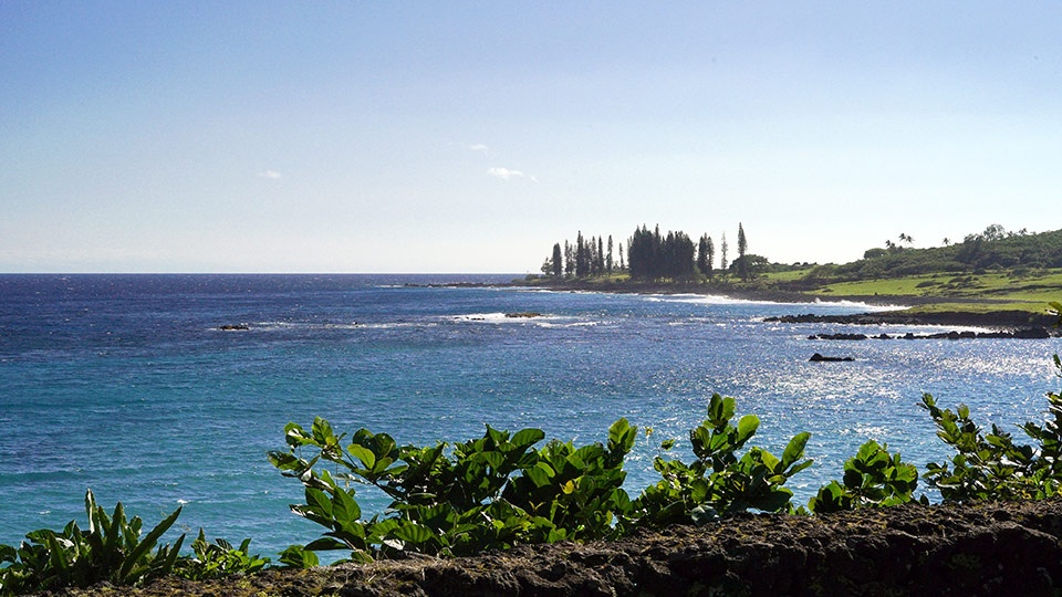 Hamoa Beach Best Road Hana