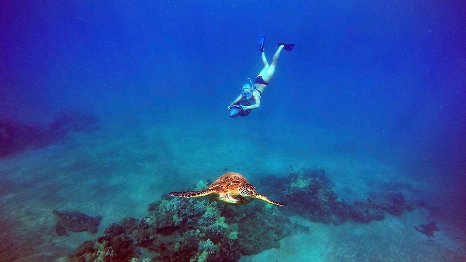 Best Wailea Sea Scooter Snorkeling