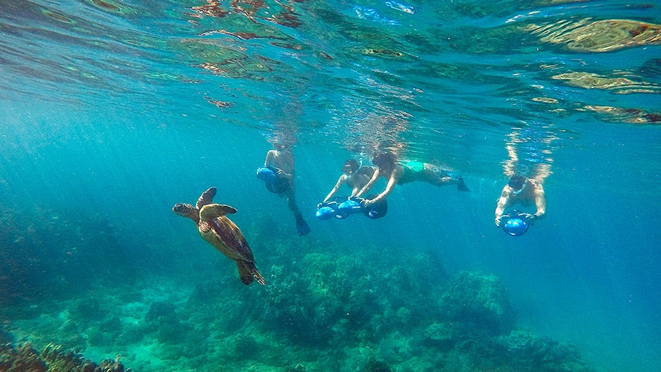 Best Wailea Sea Scooter Snorkeling