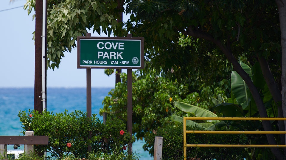 Beginner Surf Cove Kihei