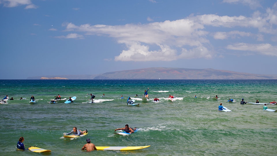 Beginner Surf Cove Kihei