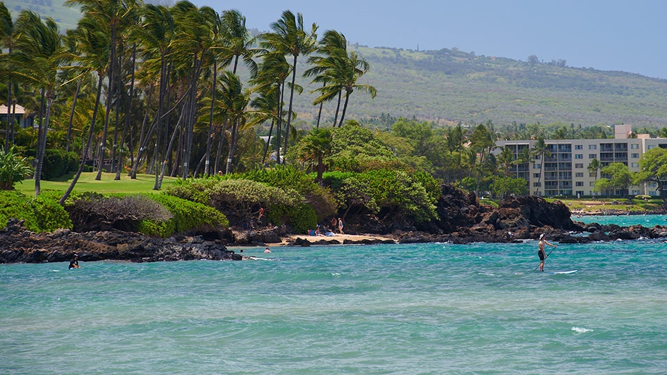 Top 10 Beginner Surf Breaks in Maui