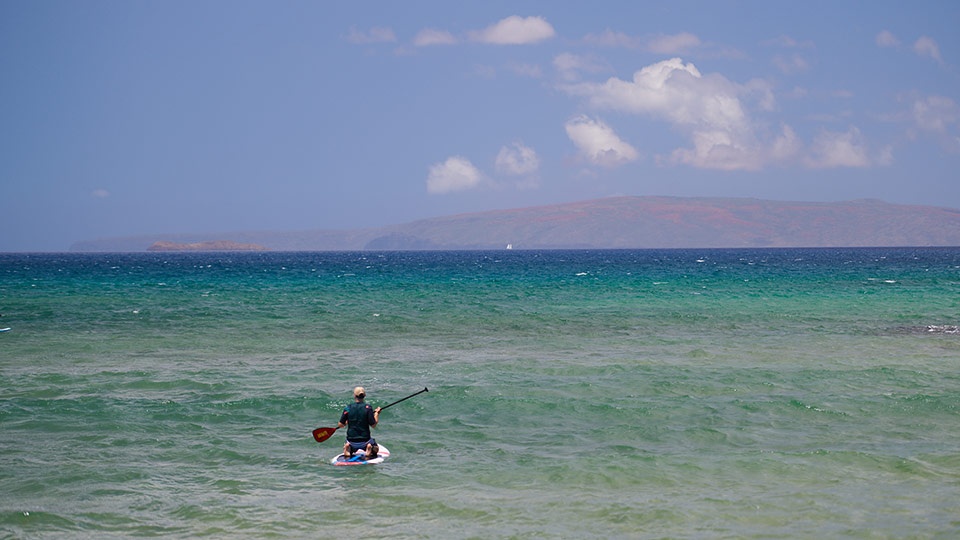 Beginner Surf Cove Kihei