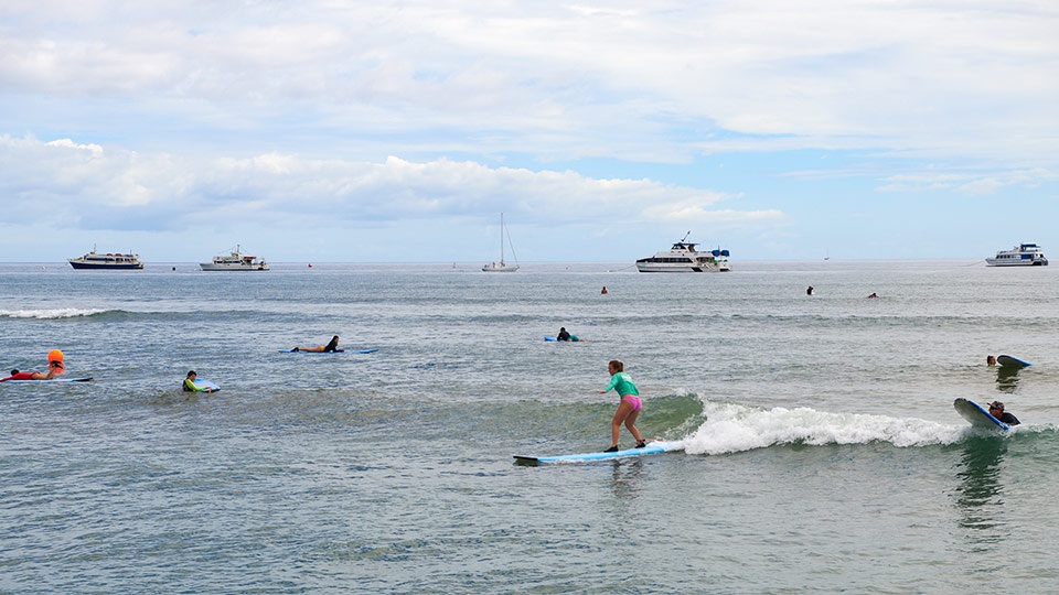 Best Maui Beginner Surf Breakwall