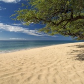 Best Maui Surf Breaks Grandma's