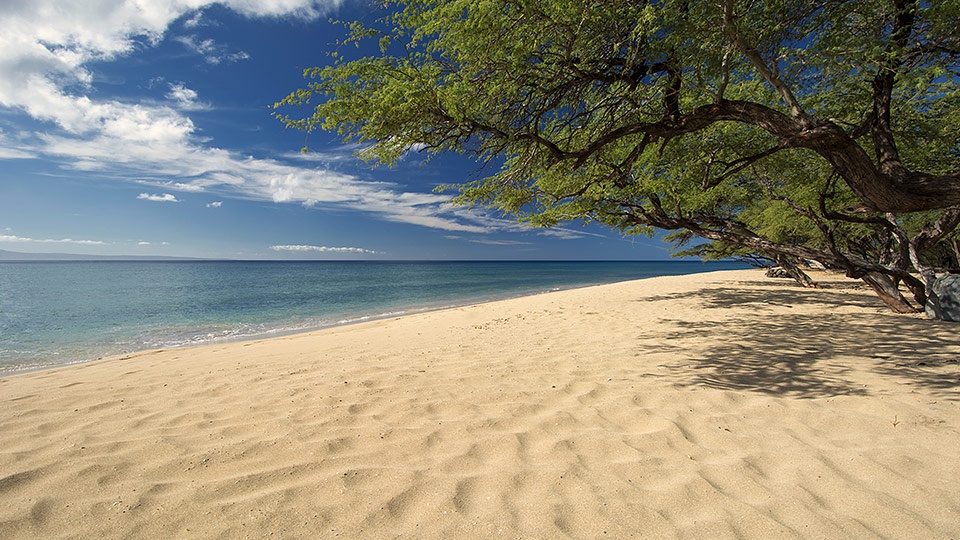 10 Best Surf Spots in Hawaii