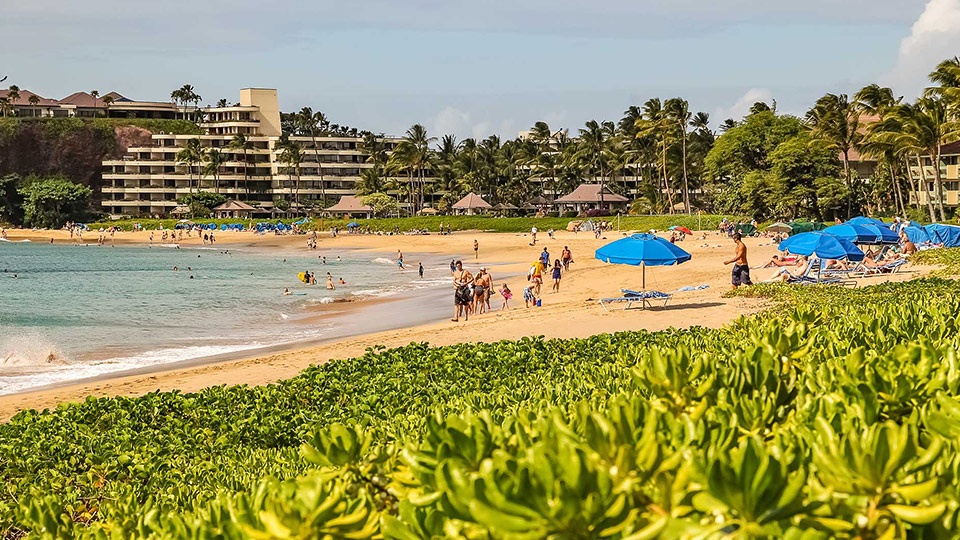 Best Maui Beginner Surf Kaanapali