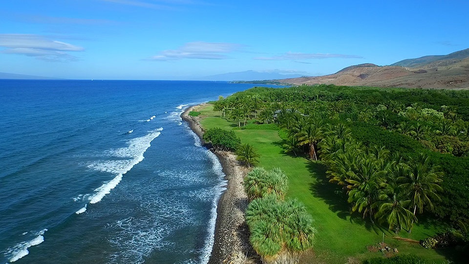 Best Maui Beginner Surf Olowalu