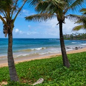 Best Maui Surf Breaks Paia Bay