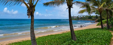 Top 10 Beginner Surf Breaks in Maui | Hawaii Surfing For Beginners