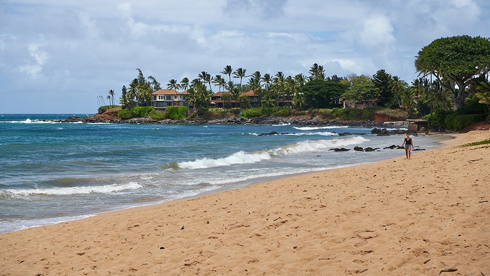 Best Maui Beginner Surf Paia Bay