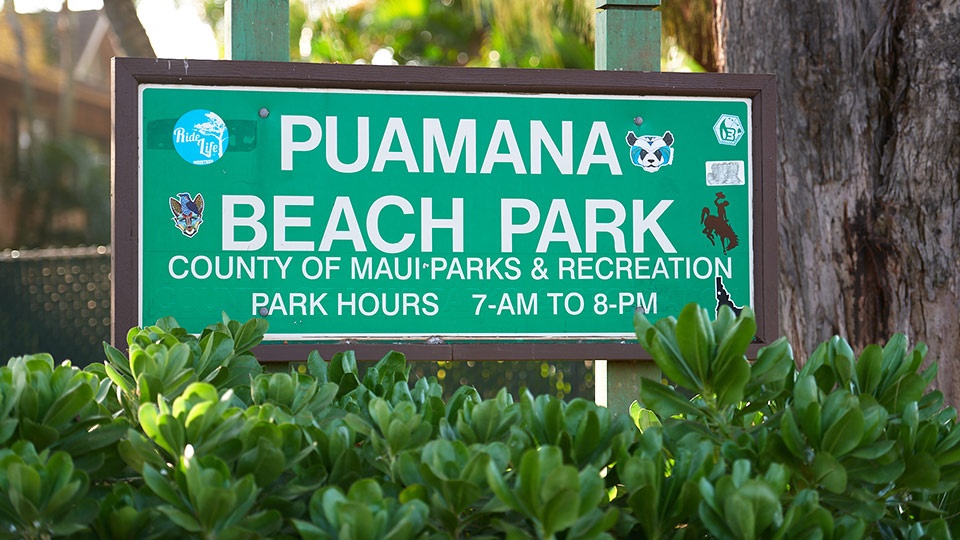 Best Maui Beginner Surf Puamana