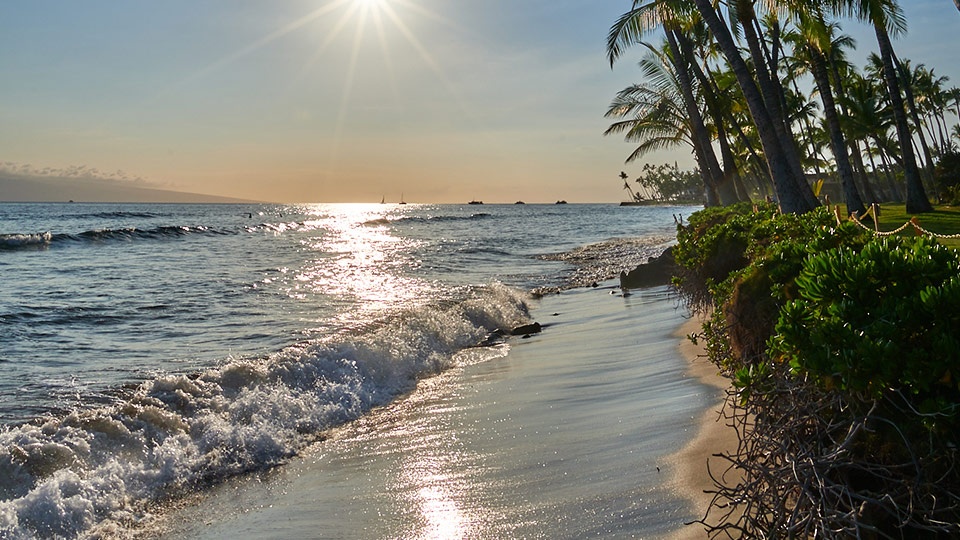 Top 10 Beginner Surf Breaks in Maui