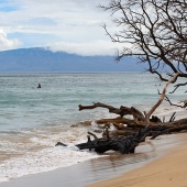 Best Maui Surf Breaks Thousand Peaks
