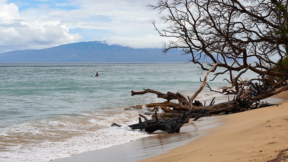 Best Maui Beginner Surf Thousand Peaks