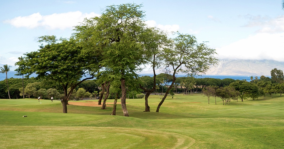 Best Maui Golf Kaanapali
