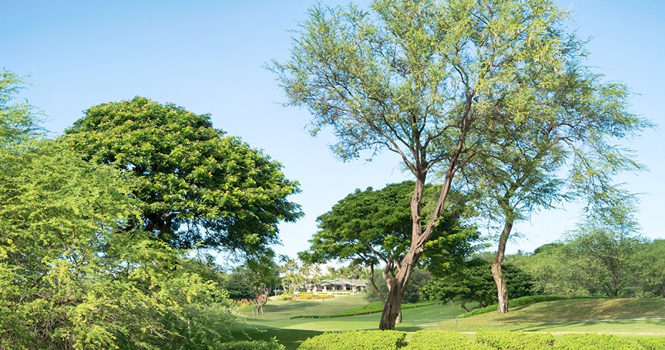 Wailea Golf Maui