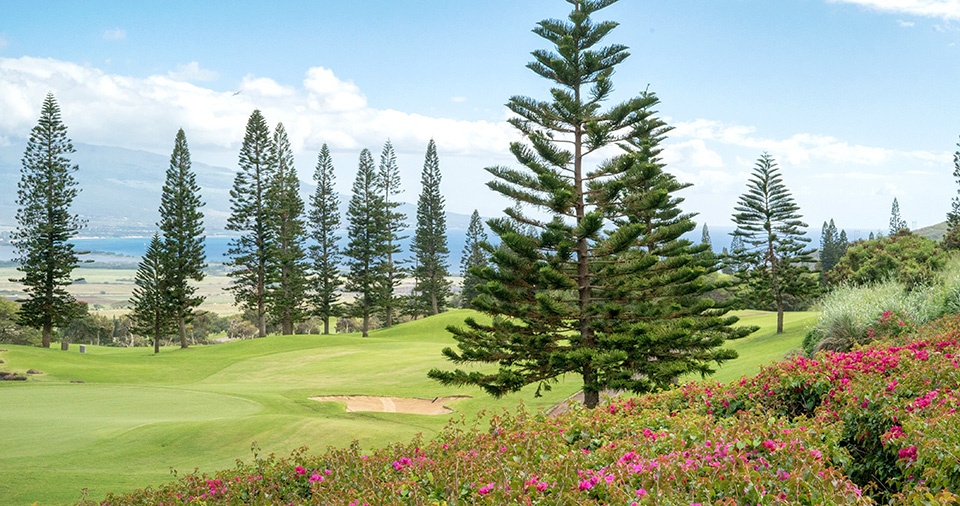 Best Maui Golf Wailea