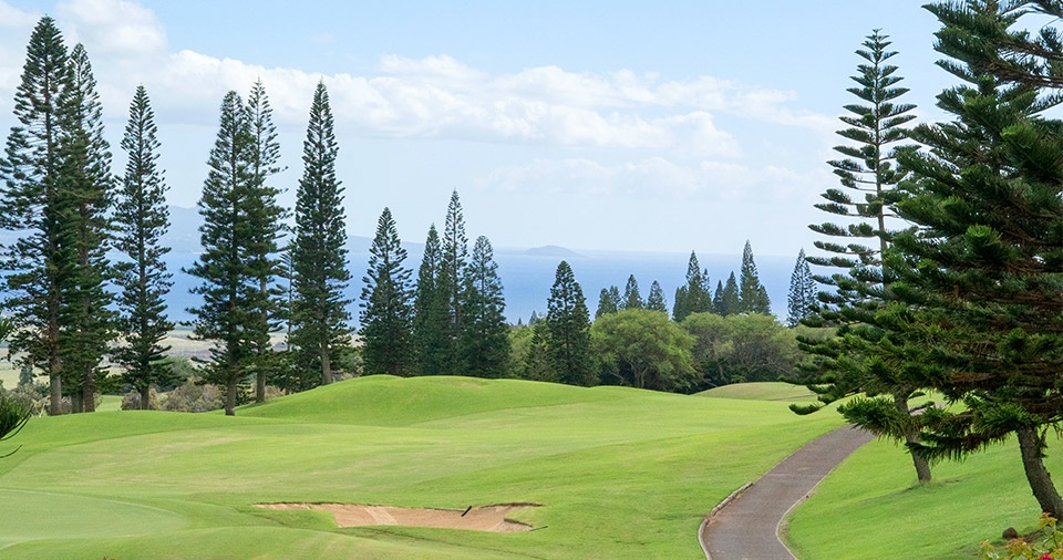 Best Maui Golf Wailea