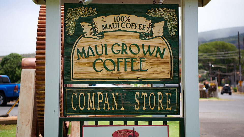 Best Maui Coffee MauiGrown