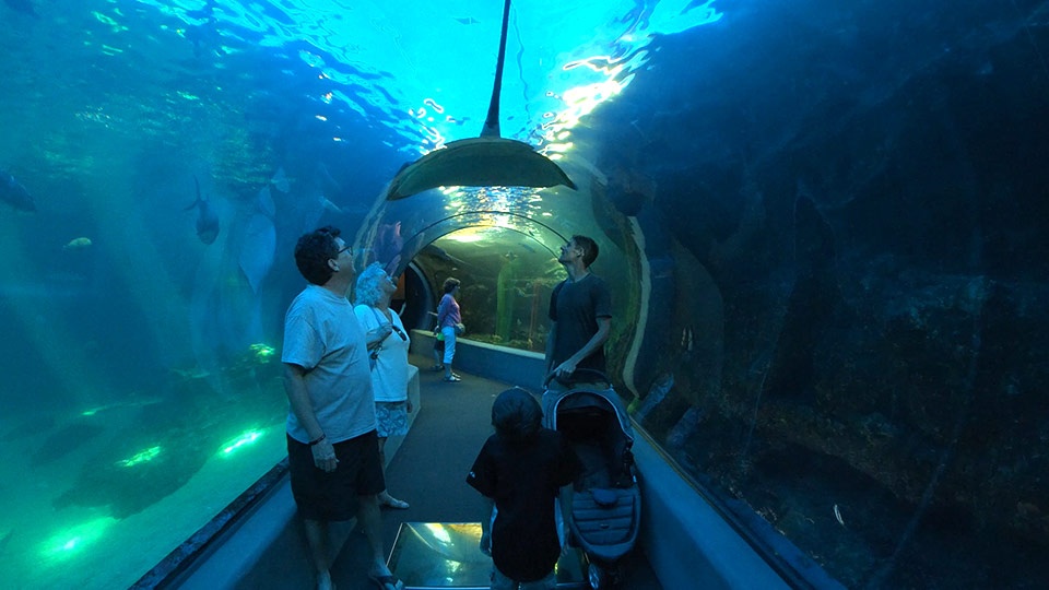 Best Maui Rainy Day Ocean Center